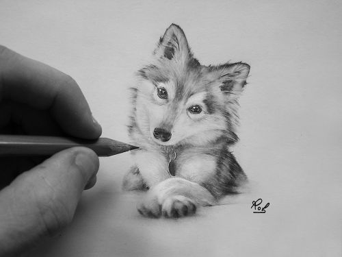 rob   husky  roberto matteazzi art